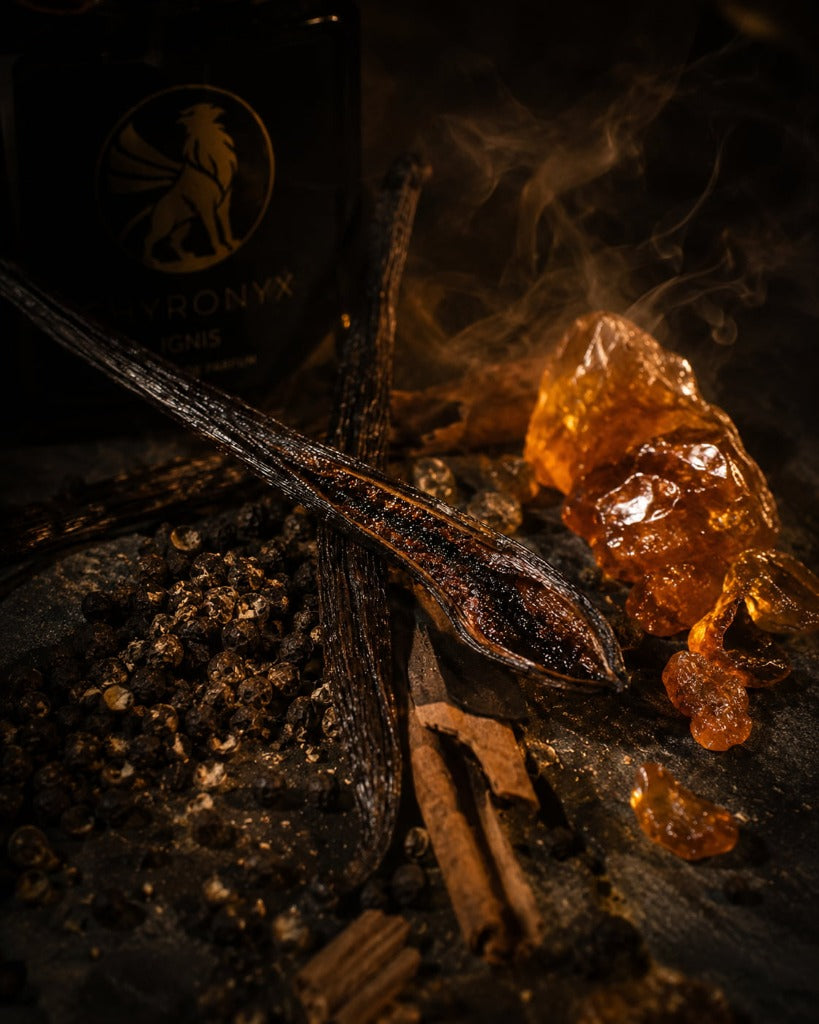 The Dark Gourmand: Vanilla, Amber, and the Art of Masculine Depth